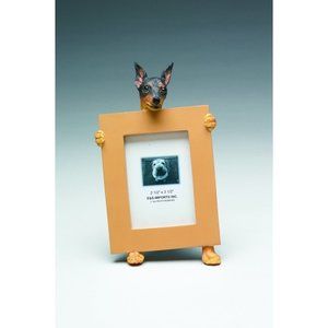 Min Pin Picture frame